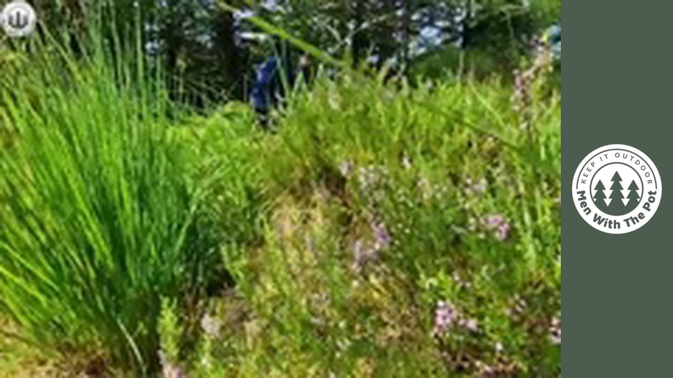 Hovädzie mäso pečené 6 hodín