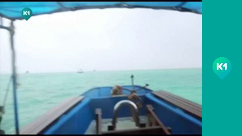 "Орел і Решка. Дайджест".