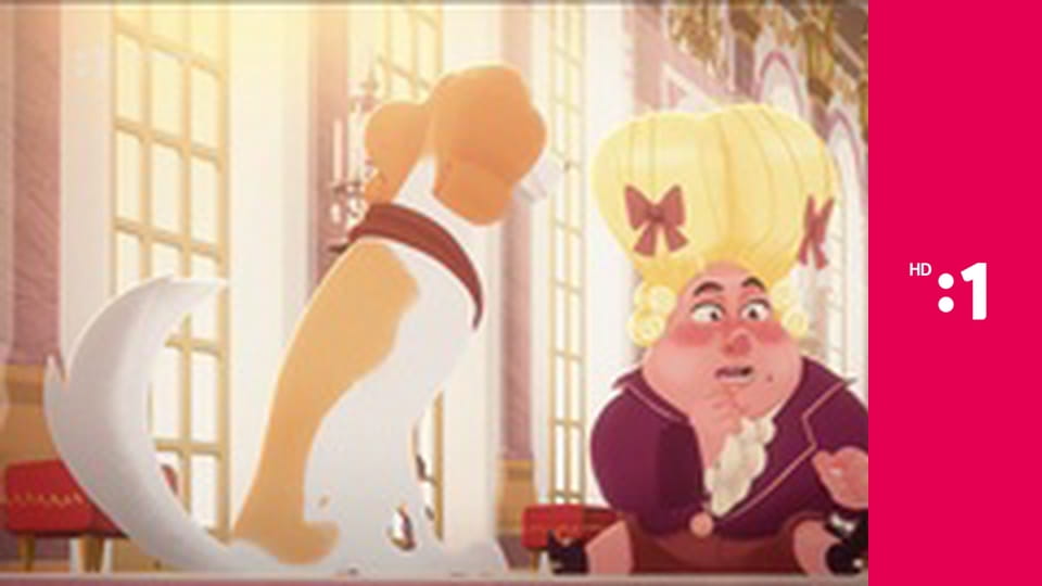 Čo budeme robiť E27