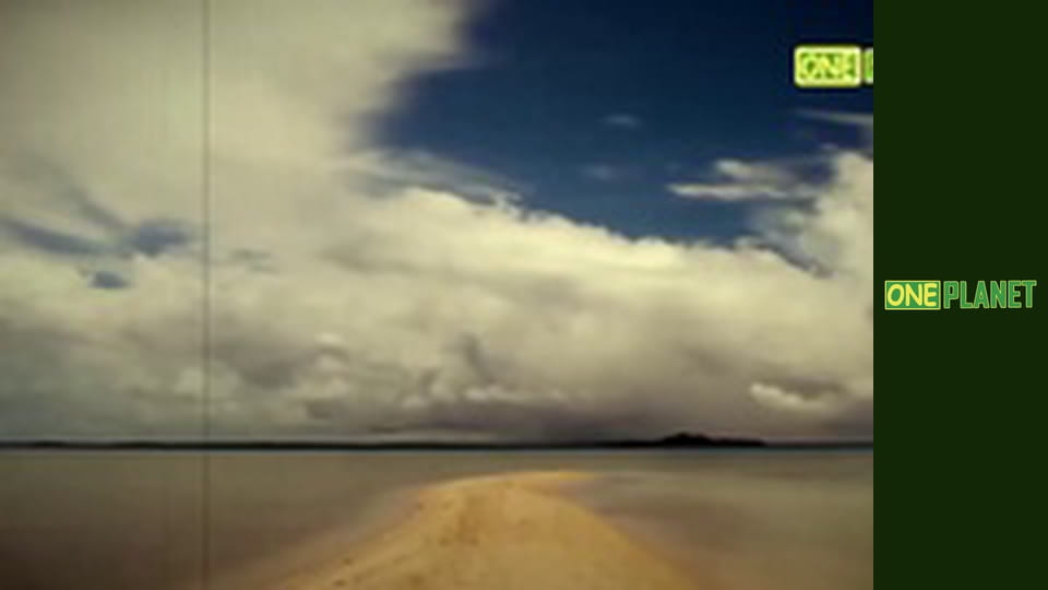 Мегаполiси, 6 еп.