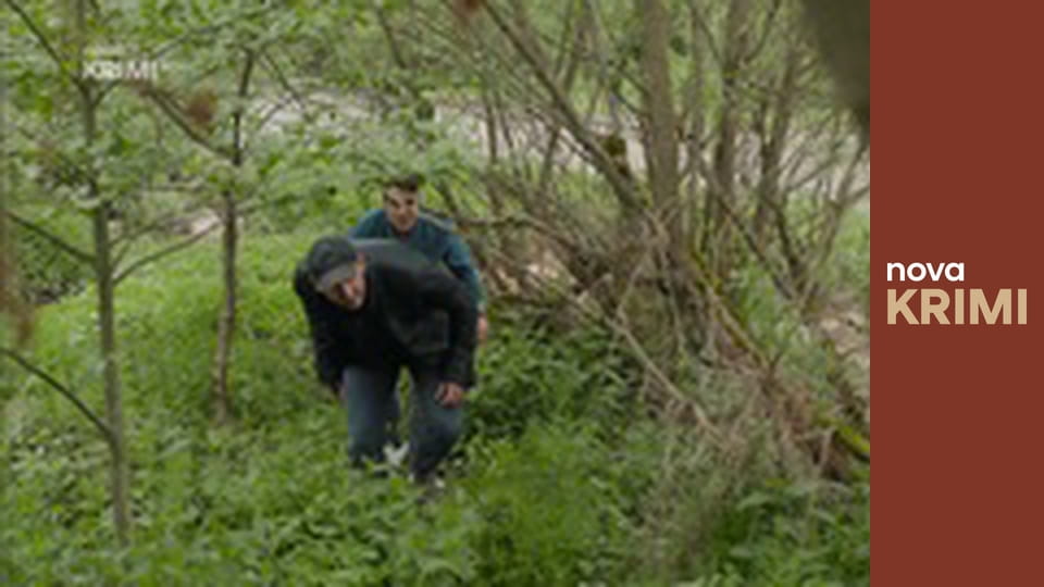 Odznak Vysočina E5 - Staří známí