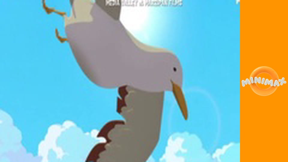 Zoom, a fehér delfin S1E37 - Paco, a polip