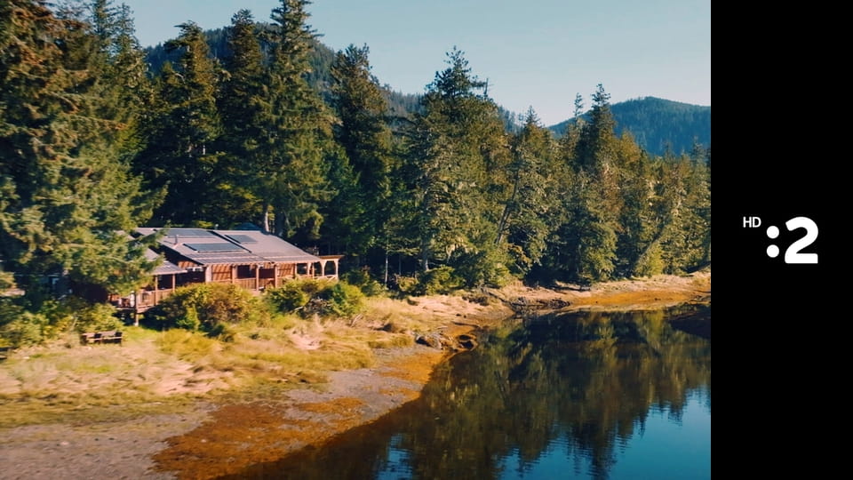 O stromoch a lesoch E6 - Amazonský vlnovec