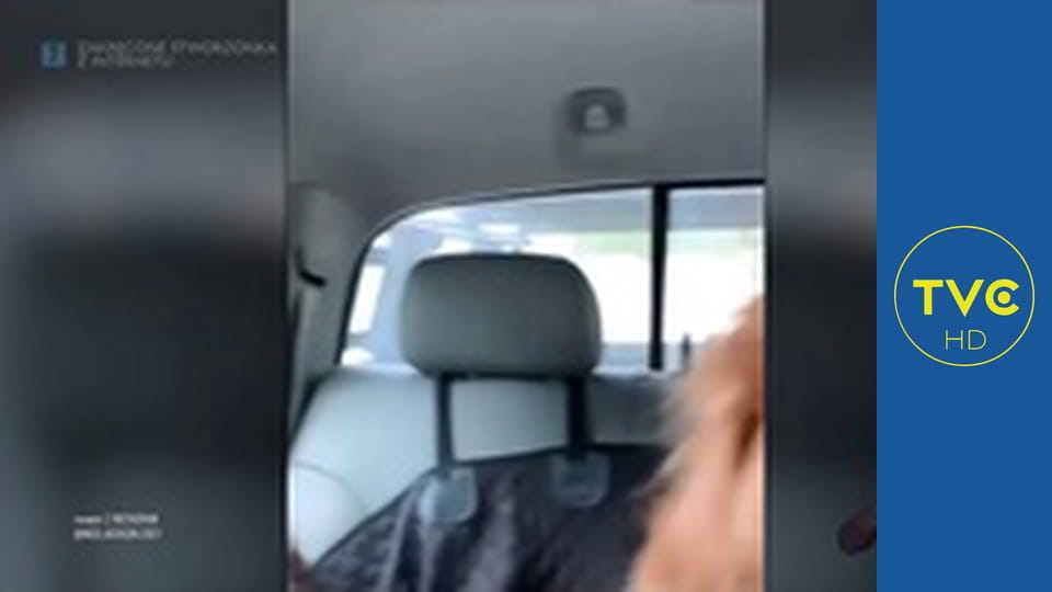 Zakręcone stworzonka z Internetu S1E2