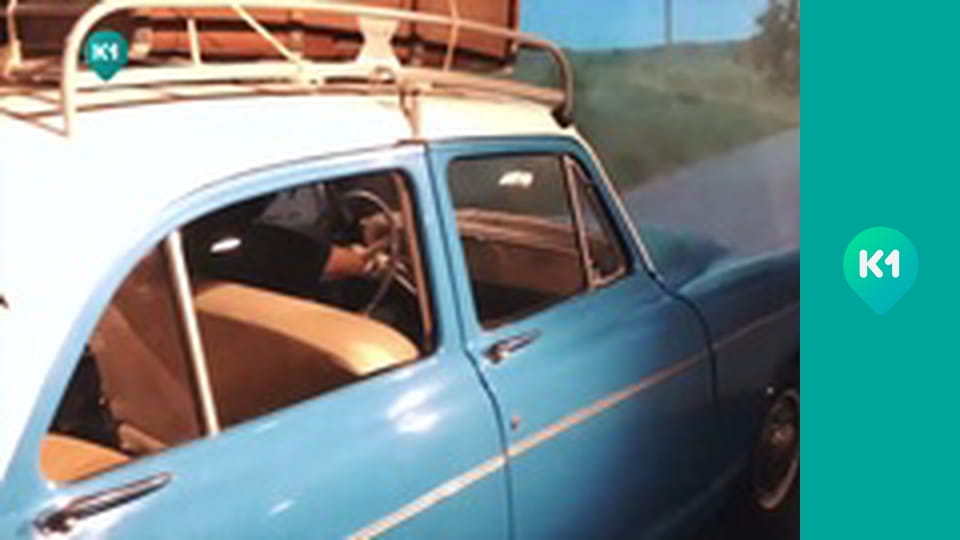 "Пригоди з Яною Метьолкіною".