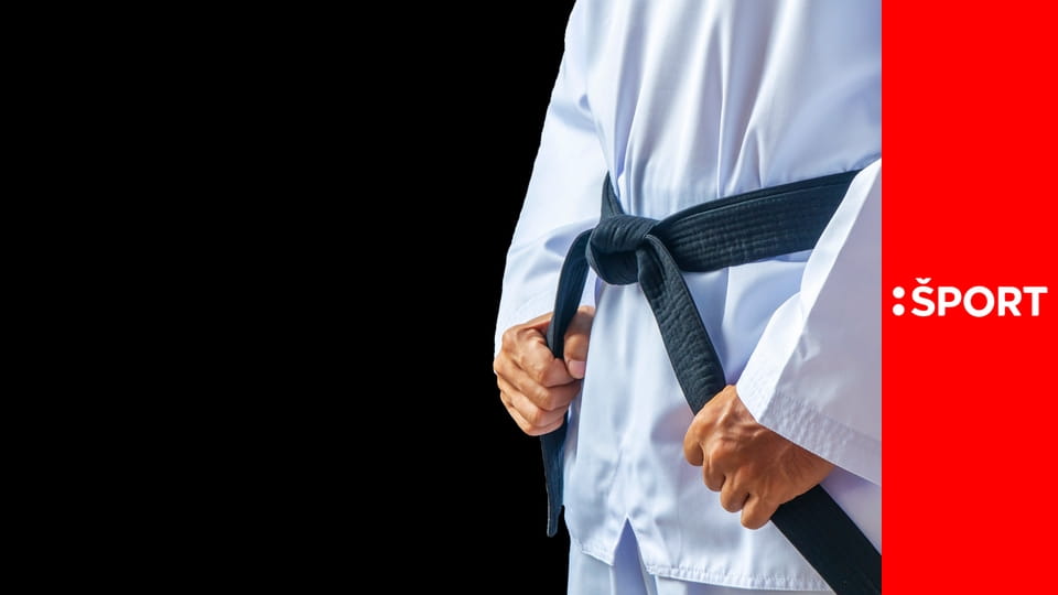 Džudo: World Tour Tokio E39