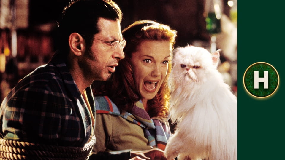 Коти проти собак