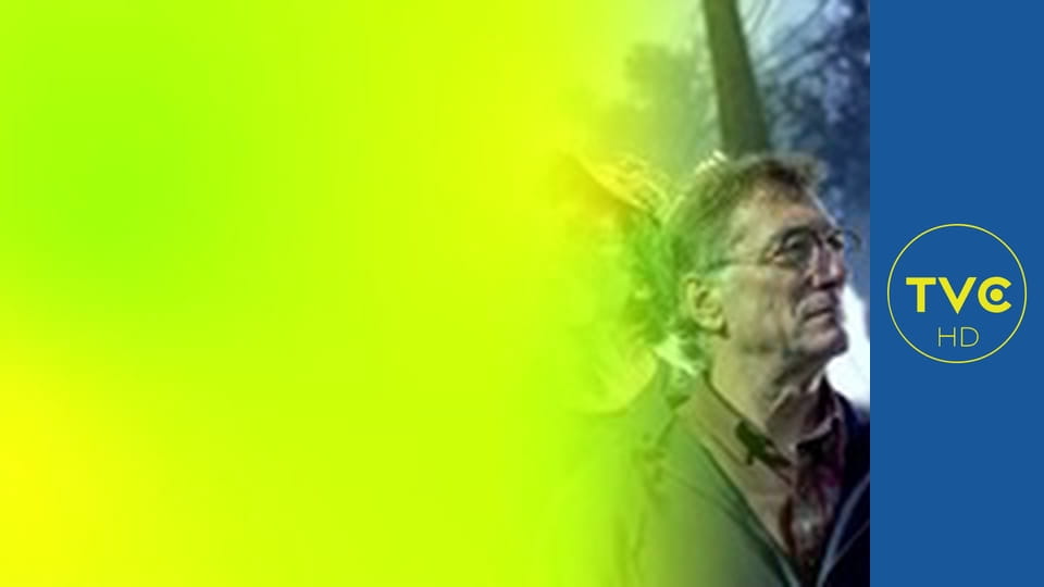 Zakręcone stworzonka z Internetu S1E1