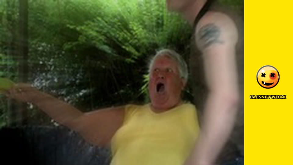 Funny & Funnier, 17 еп.