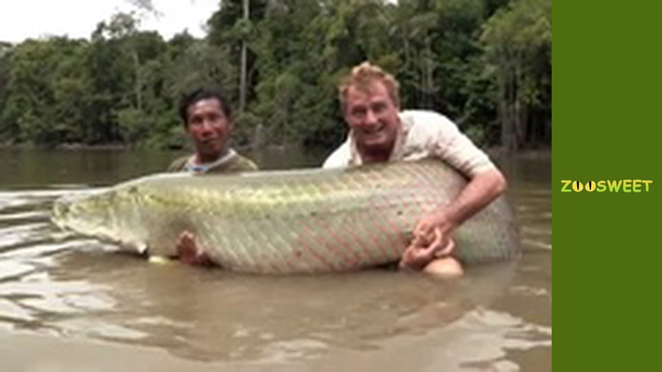 Fishing Expedition Amazonia Season 2 Episode 4