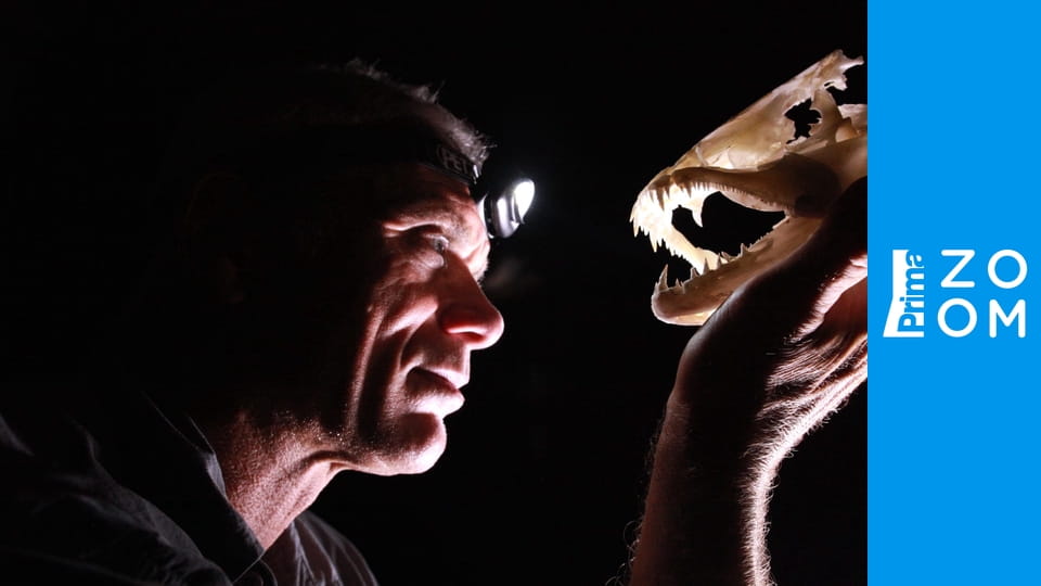 Říční monstra S9E6 - Zabijáci z hlubin 1/2