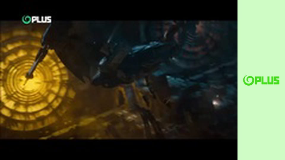 Najlepšie zvieratá na videu