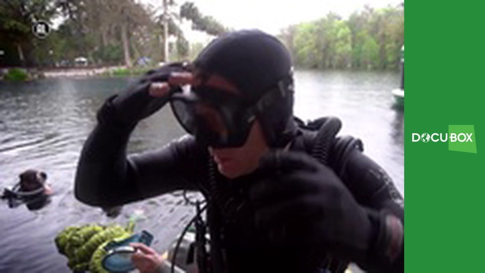 Podwodny świat S5E4