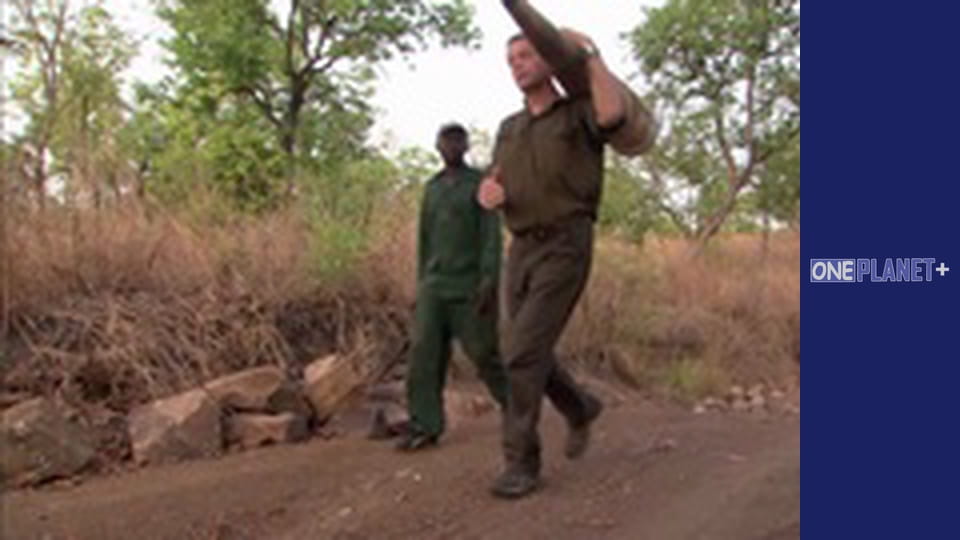 Just in the sky - National Parks. - episode 1