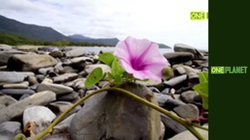 Отчаянные часы, 10 эп. Авиакатастрофы.