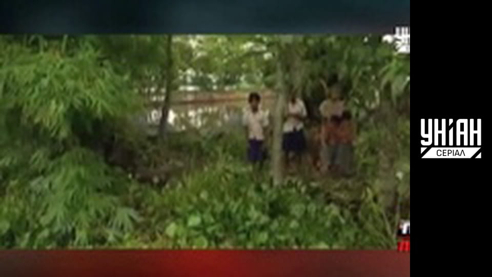 Помста природи