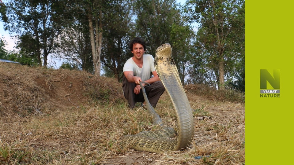 Ветеринар чудернацьких тварин S1E2