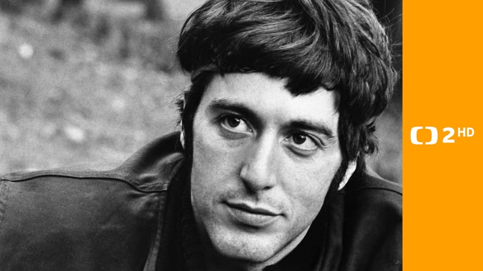 Panika v Needle Parku