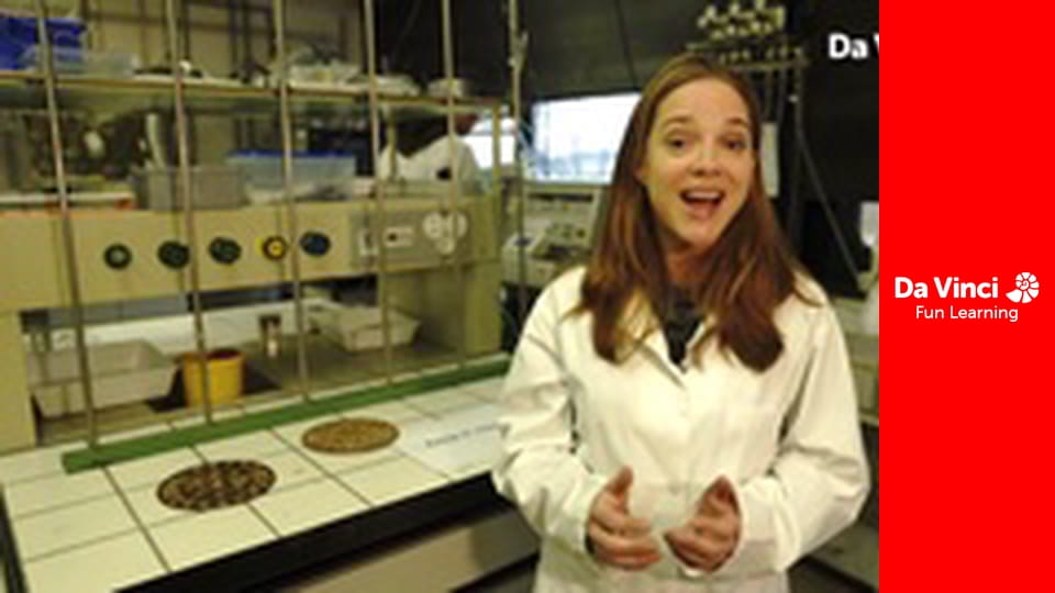 Futuris - Újgenerációs napenergia