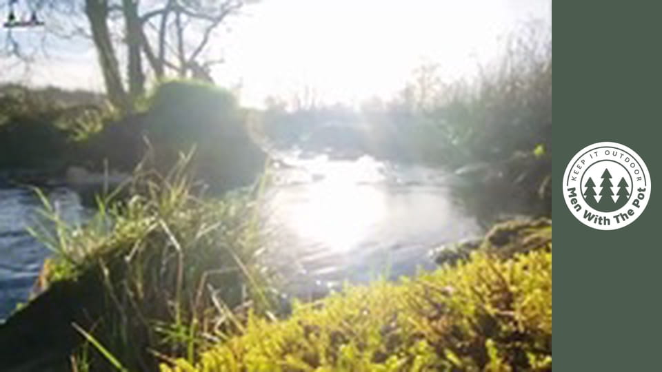 Gyönyörű Carbonara