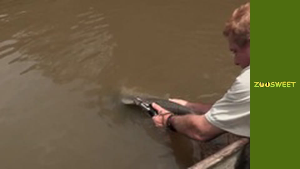Fishing Expedition Amazonia Season 2 Episode 6
