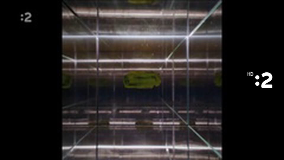 15x15x5 minisalón 1984