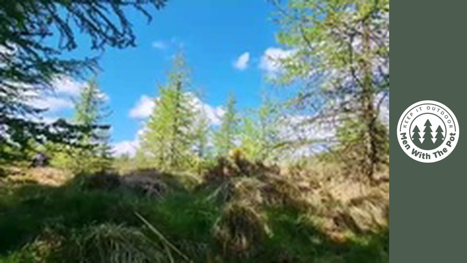 Křupavé rybí placičky