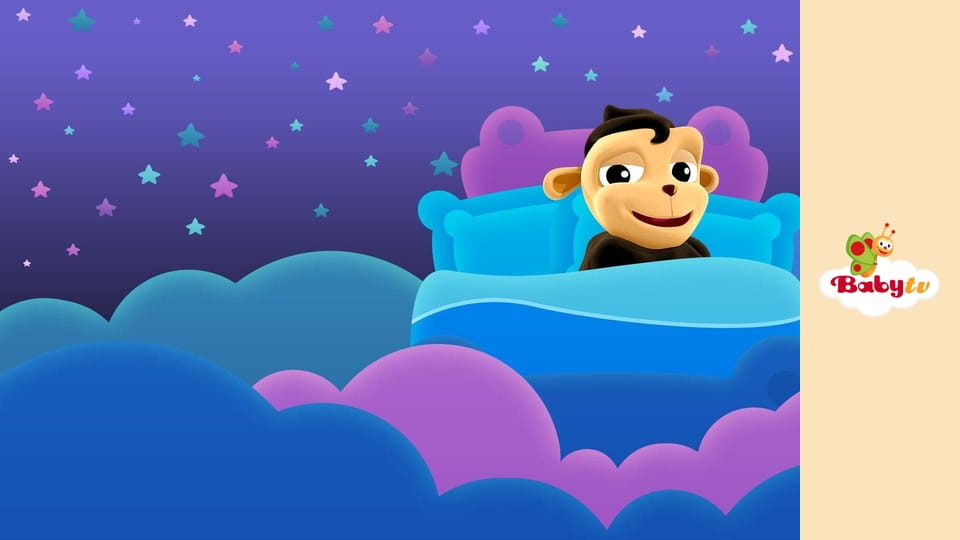 Dreamy Nights - Flowers