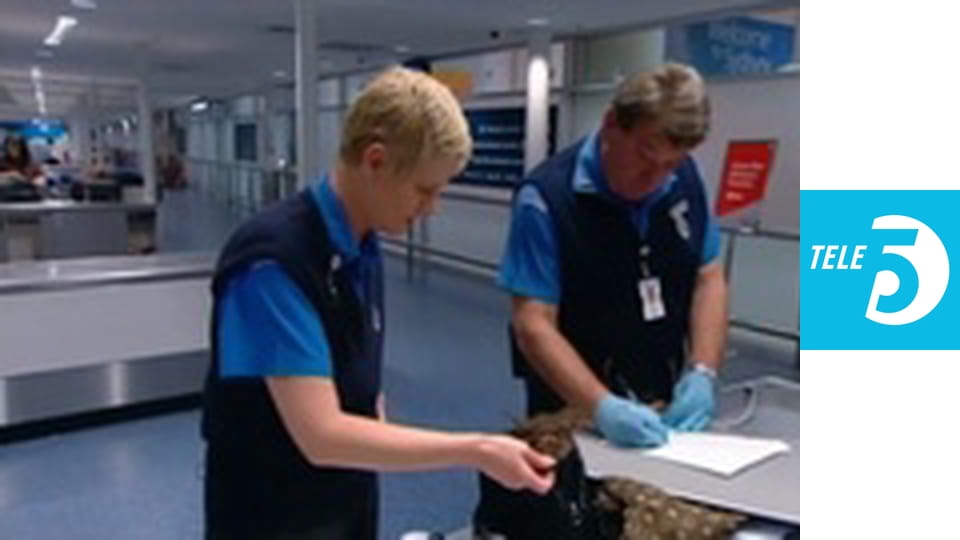 Straż graniczna S5E5