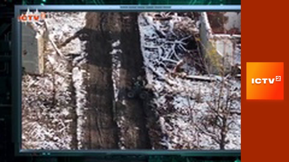 "Громадянська оборона".