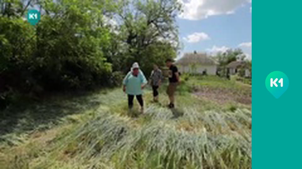 "Крафтові мандри" з Євгеном Синельниковим.