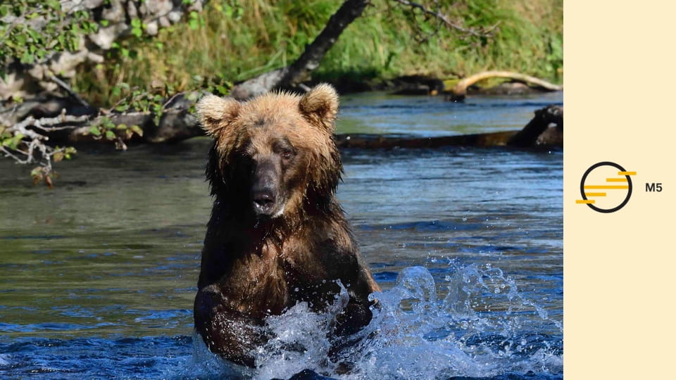 Expedíciók Steve Backshall-lel - Soccorro – Cápasziget