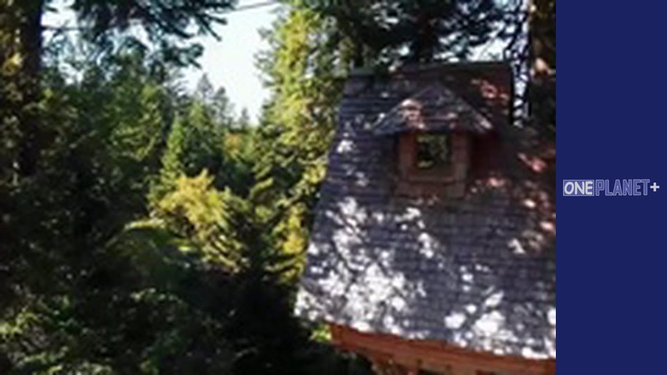 Art of Space. - episode 30