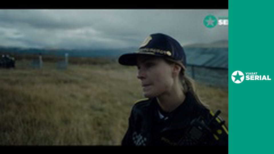 Т/с "Фенріс", 3 с. "Підтвердження".