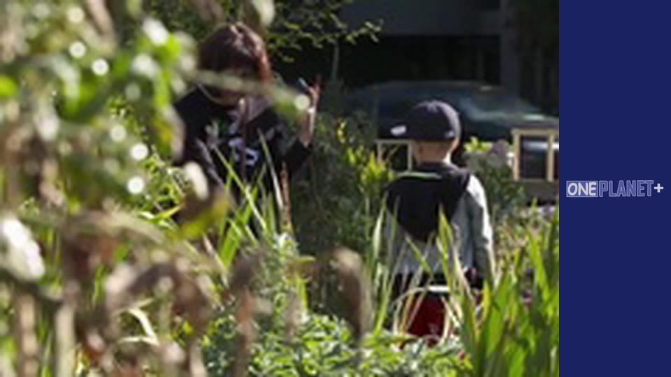 With my own eyes. - episode 12