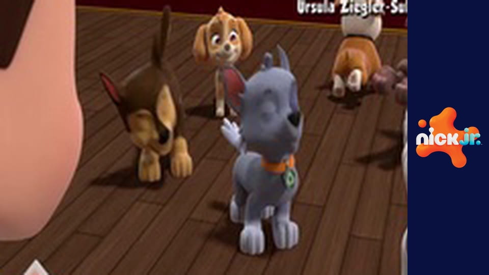 М/с "Щенячий патруль", 10 сезон, 22 с.