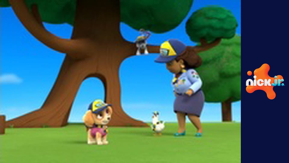 Psi patrol S1E22 - Pieski ratują obóz skautów/Pieski i kłopoty z żółwiami