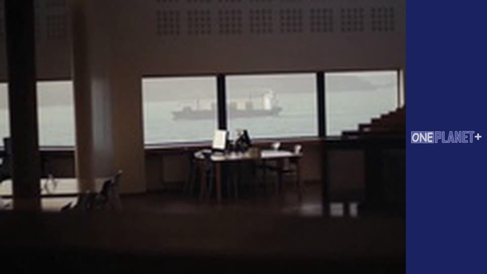 In search of knowledge. - episode 29