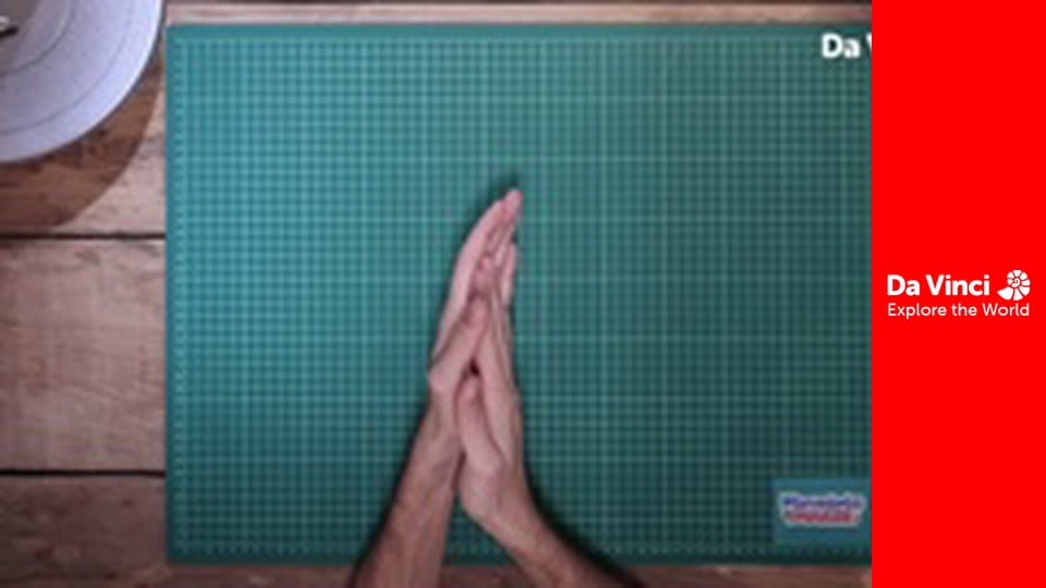 Creații minunate - Muşcătoarea cu cioc