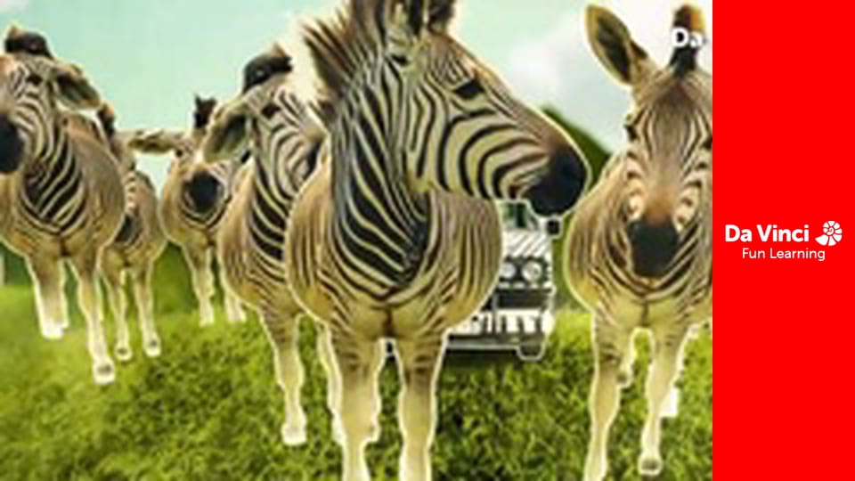 Siyaya. Droga przez Afrykę - Surfujące ślimaki