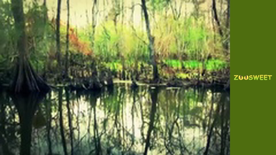 Wild life, Season 1, Episode 8