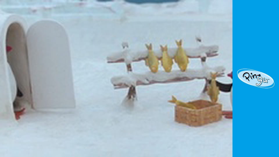 Pingu Sezon 3 Odcinek 8