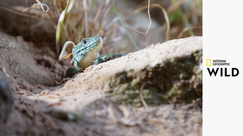 Tajemná krása Evropy S1E4 - Řecko