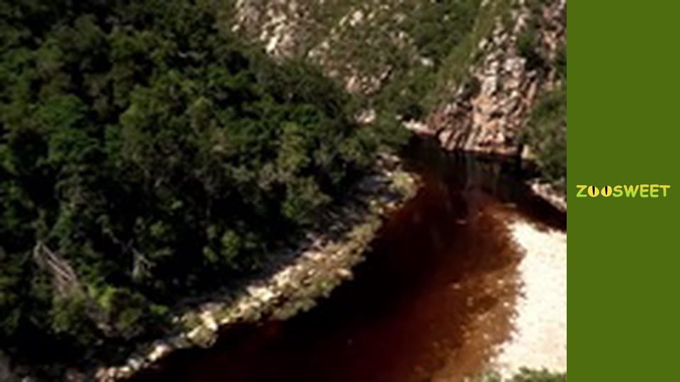 Siaya, Season 1, Episode 5