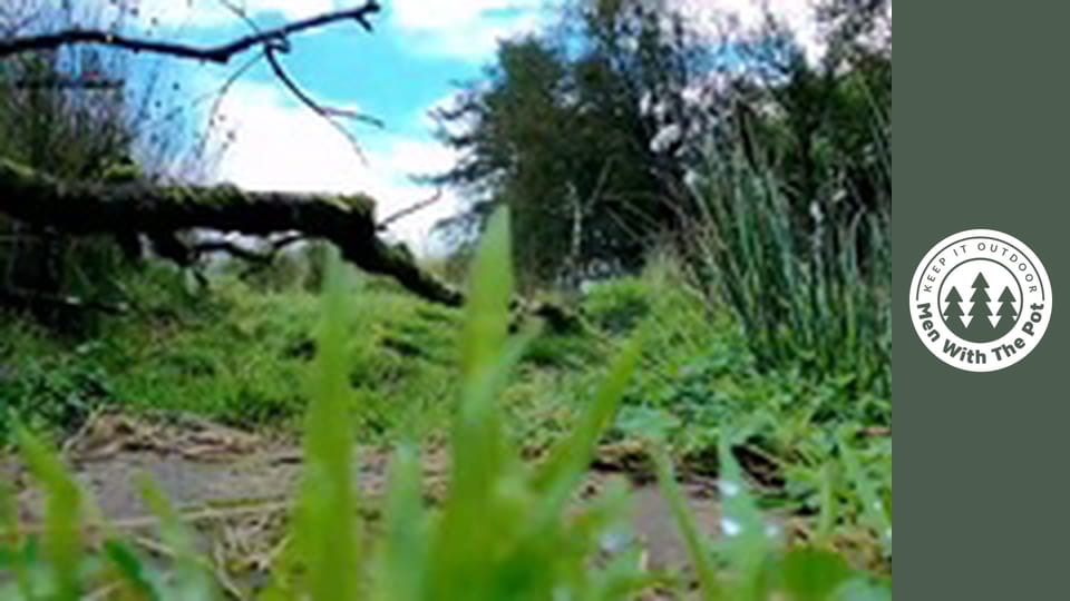 Nagyon szaftos csirke szószban, ropogós tortillában