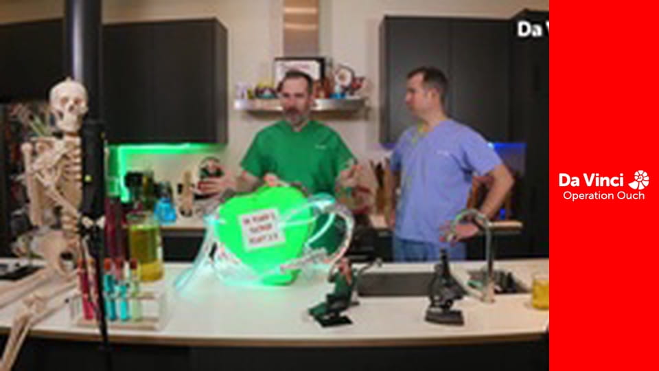 Operation Ouch! - Do Try This at Home - Heart