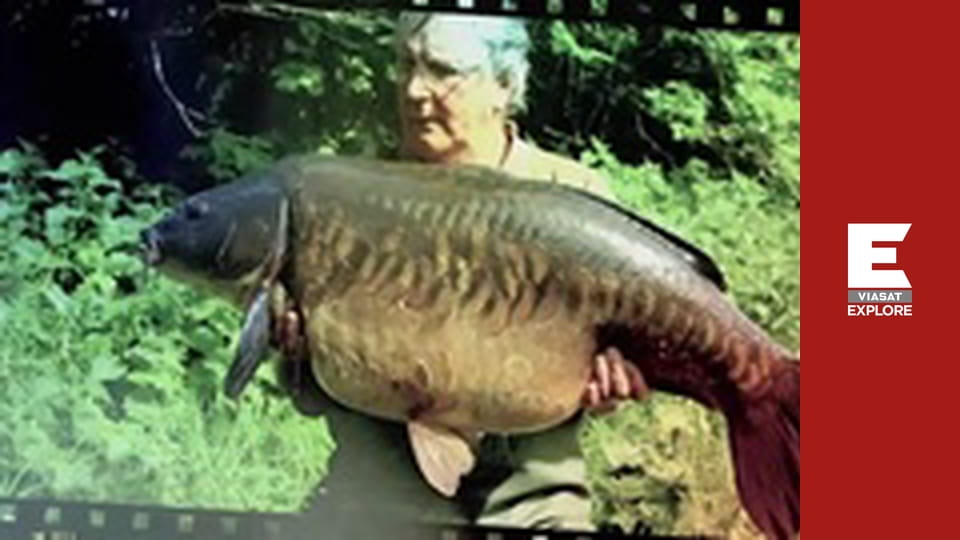 Monster Carp - UK