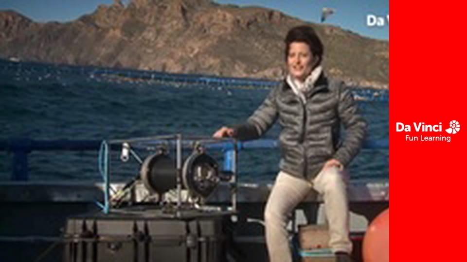 Futuris - Újgenerációs vízalatti kamerák