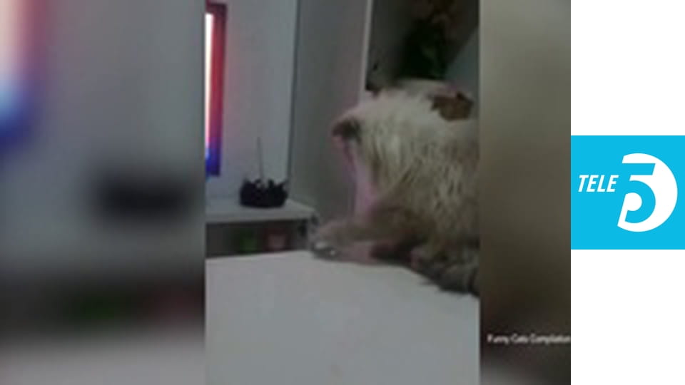 Uśmiechnij się S1E2