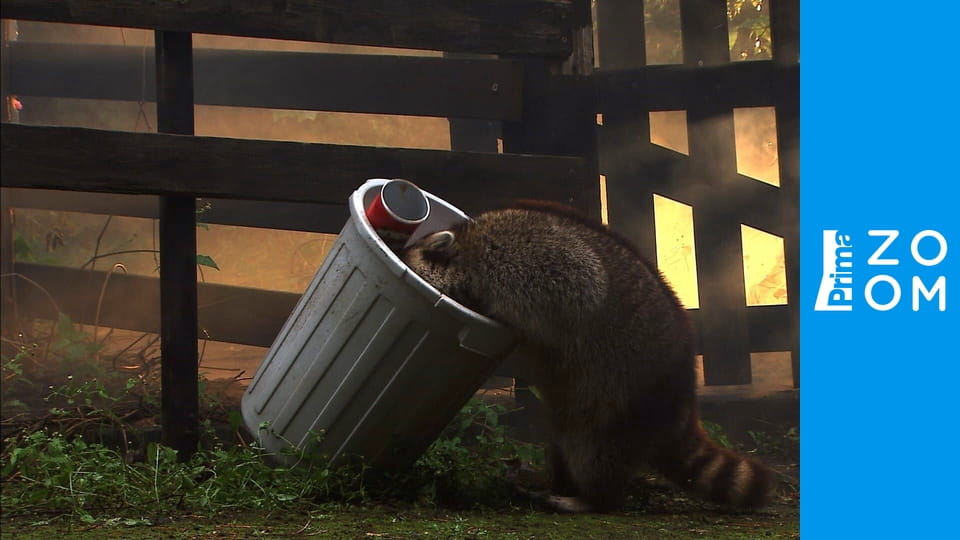 Roztomilí darebáci